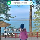 용산-408 | 대천 가볼만한곳 Best5 보령 관광지 (대천해수욕장, 상화원, 대천김공장)