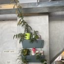 몽실몽실 | [대구교동카페] 대구시청앞 대형카페 ‘이얼즈’ | 애견동반가능