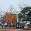 우리금융아트홀(올림픽역도경기장) | 우리금융아트홀 최현우 마술쇼 19+1 2층 S석 시야 추천 후기