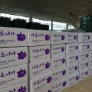 아란농장 | 국산아로니아로 건강 챙기기, 아란 마켓 후기