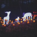 가자펜션 이미지