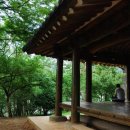 정자문화 이미지