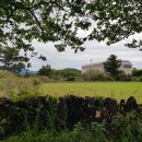 접도편의점식당 이미지