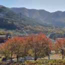 웅이네농장 이미지