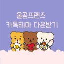 우울한곰돌씨