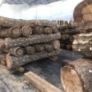 종화농장 이미지