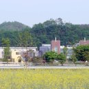 무지개빛 작은도서관 이미지