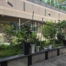 호반베르디움작은도서관 | 청주시 흥덕구 오송읍 오송 호반베르디움아파트 호반다섯소나무작은도서관 화분정리 했어요