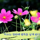 아름다운 풍이 있는 유머해학 이미지