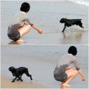 라니휘트니스 이미지