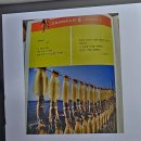 손설강의 디카시 아카데미 1기 제4강 스케치 이미지