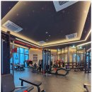 빌리브 패러그라프 피트니스 이미지