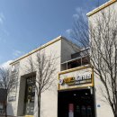 포항치과의원 | 포항 오천 문덕 로이스 치과 임플란트 잇몸치료 레진 치료 후기