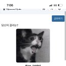 키코쨩교동