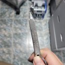 지그렌탈