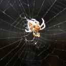 도촌 2농장 이미지