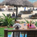 2019-주091 이미지