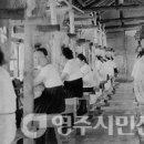 서부3리 이미지