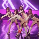 스텔라 파이낸셜뉴스