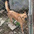 군서농장 이미지