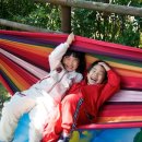 민지민박 Daum카페