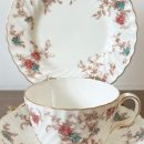 로코코블랑 이미지