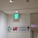 미나꽃집 | 후쿠오카 유니클로 UT 커스텀 후기 | 가격 사이즈표 한국 차이