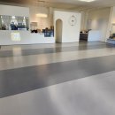 댕댕빌리지 이미지