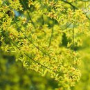 인화여자고등학교 이미지