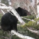 대이리농장 연합뉴스