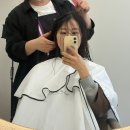 살롱드 데꼬레 | 대구 헤어클리닉 추천 진천동 미용실 '살롱 드 브리앙' 여자 긴머리 클리닉 솔직후기