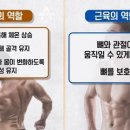 뉴타운헬스 이미지