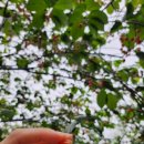 쌍산재민박 이미지