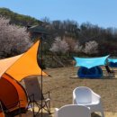 데일리목장 이미지