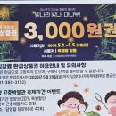 담양여행 | 담양 죽녹원 여행 후기 | 죽순 시즌·입장료·야간개장 대나무축제 총정리 (+카페 옥담)