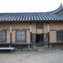 당산나무 Daum카페
