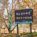 목도강수욕장 | 강 위의 해변, 괴산 목도강수욕장! 무료 캠핑부터 강변 물놀이까지 즐기는 진짜 힐링 여행