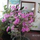 영남가축병원 이미지