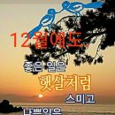 트로트 신동 특집 이미지