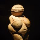 피지컬 뷰티 이미지