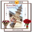 보릿돌횟집 | 경주 불국사, 보릿돌횟집,주상절리, 카페 팔코