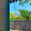 제주굿모닝투어