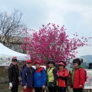 옥산홍연보건진료소 | 제12회옥녀봉진달래꽃십리길축제(부여군옥산면)