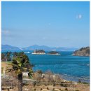 동화나라 애견 이미지