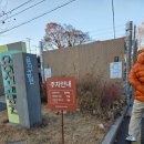 주한약품 | 용산공원 부분개방부지 크리스마스빌리지 강아지동반 후기 ㅣ 주차 포토존 운영시간