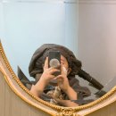 로하스분당