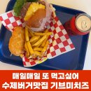 기브미치즈 이미지