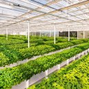 (주)팜코리아 이미지