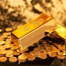 배꼽하우스 이미지