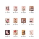 동양화 채색화 이미지